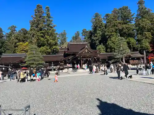 多賀大社(滋賀県)