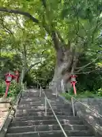 常陸第三宮 吉田神社の{uncategorized: "未分類", other: "その他", undefined: "問題あり", building: "その他建物", grave: "お墓", sacred_gate: "鳥居", guardian: "狛犬", statue: "像", buddha: "仏像", history: "歴史", nature: "自然", garden: "庭園", animal: "動物", pagoda: "塔", temizu: "手水舎", mountain_gate: "山門・神門", sanctuary: "本殿・本堂", subordinate: "末社・摂社", art: "芸術", scenery: "景色", jizo: "地蔵", ema: "絵馬", goshuin: "御朱印", omikuji: "おみくじ", items: "授与品その他", amulet: "お守り", goshuincho: "御朱印帳", eats: "食事", festival: "お祭り", votive_dance: "神楽", shichigosan: "七五三参", wedding: "結婚式", experience: "体験その他", initially: "初詣", around: "周辺", anti_infection: "感染症対策"}