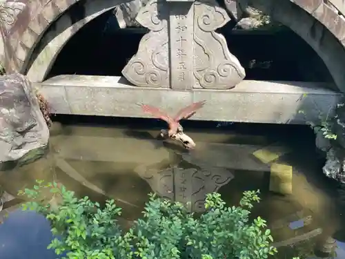 若宮神明社の狛犬