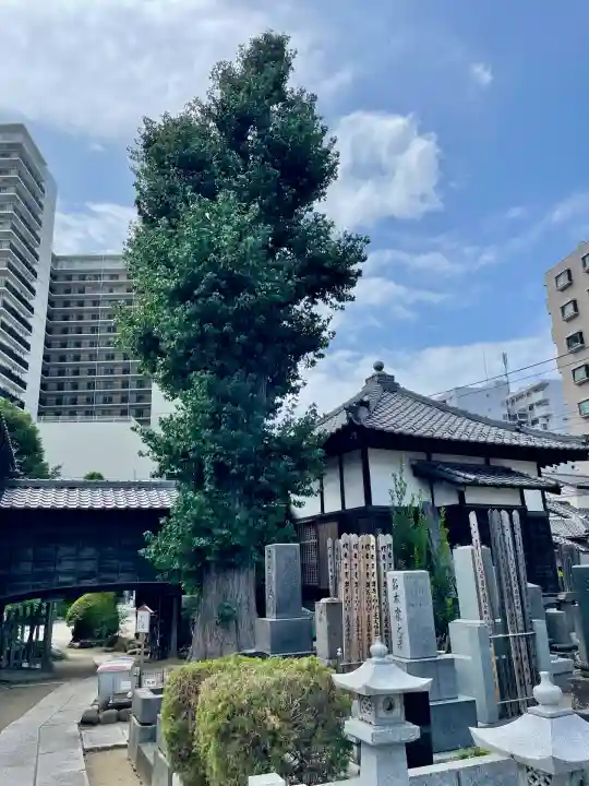 吉祥寺(千葉県)