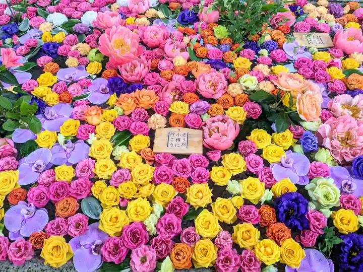 住吉神社の手水舎