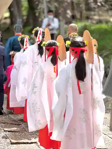 山家神社の神楽