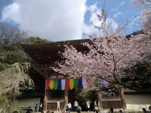 醍醐寺(京都府)