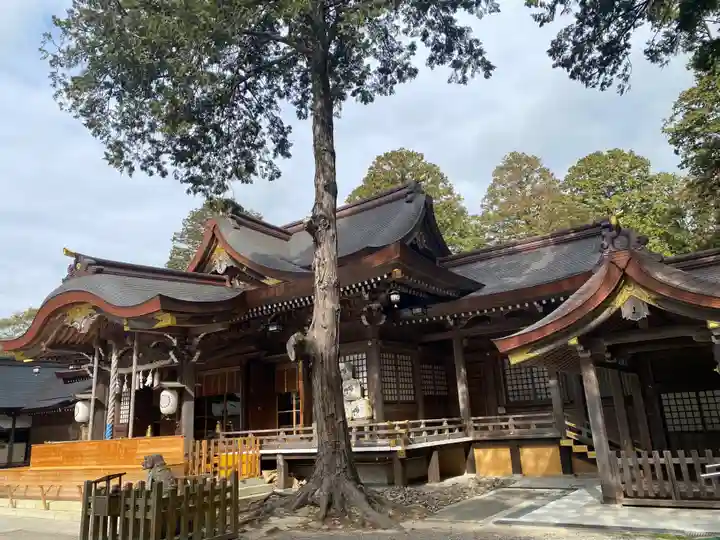 大麻比古神社(徳島県)