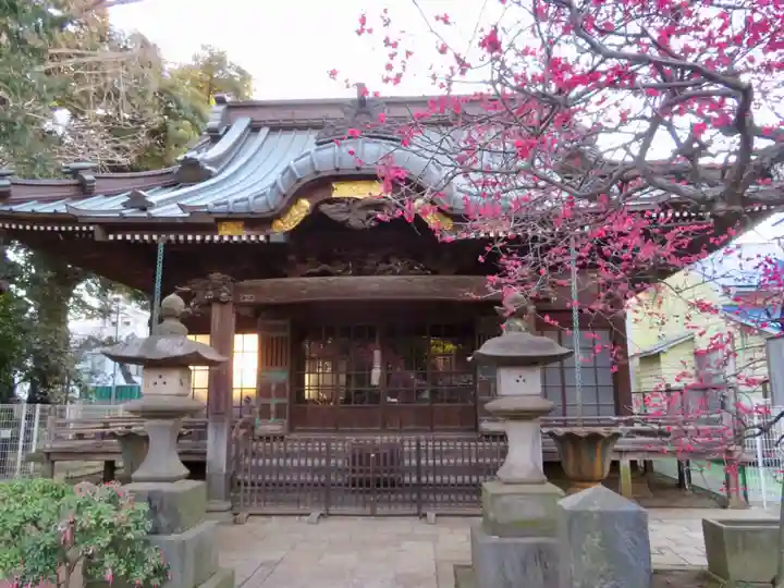森巌寺の本殿・本堂