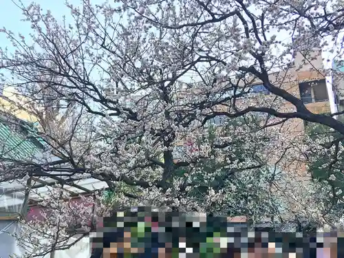 湯島天満宮の庭園