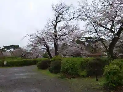 霊犬神社の自然