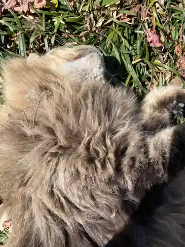 唐澤山神社(栃木県)