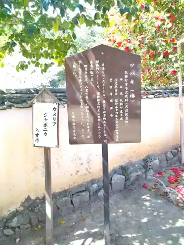 圀勝寺の建物その他