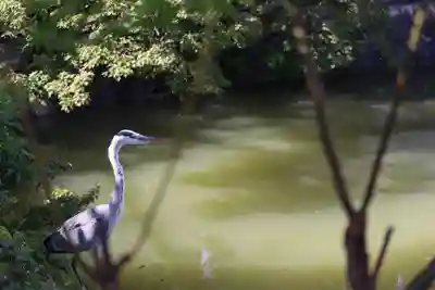 長岡天満宮(京都府)