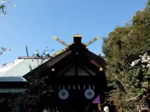 東京大神宮(東京都)