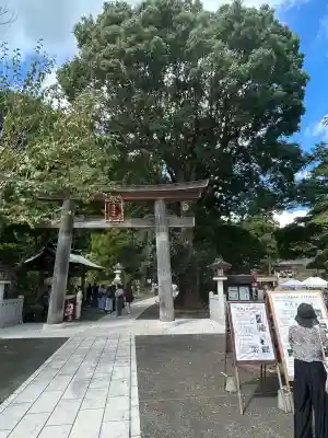 高麗神社(埼玉県)