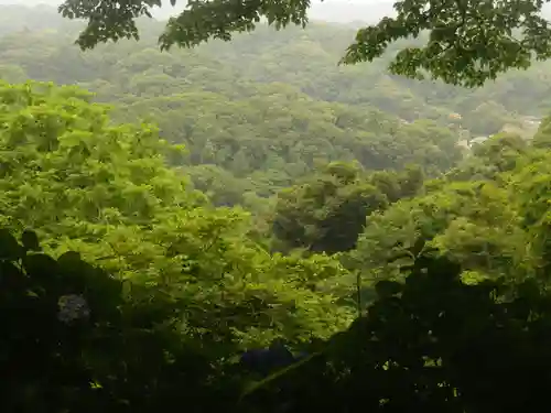 葛原岡神社の自然