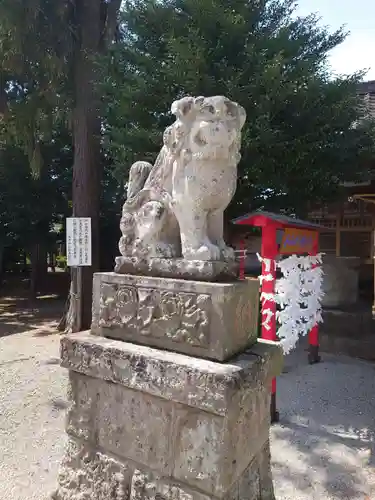 坂戸神社の狛犬