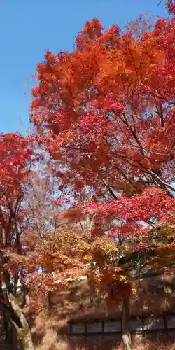 清水寺(京都府)