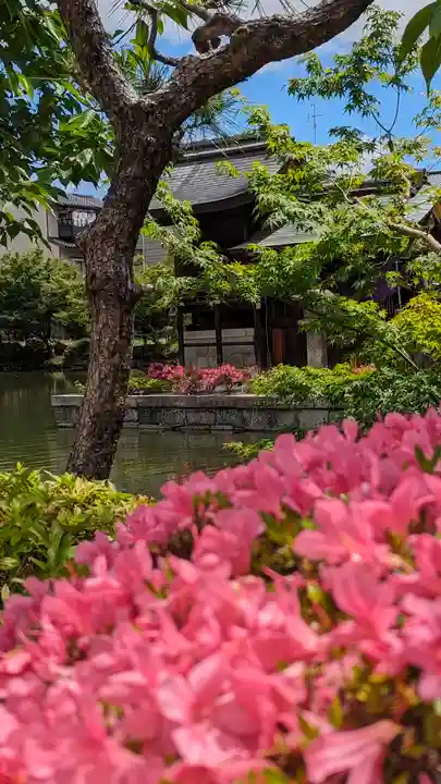 神泉苑(京都府)