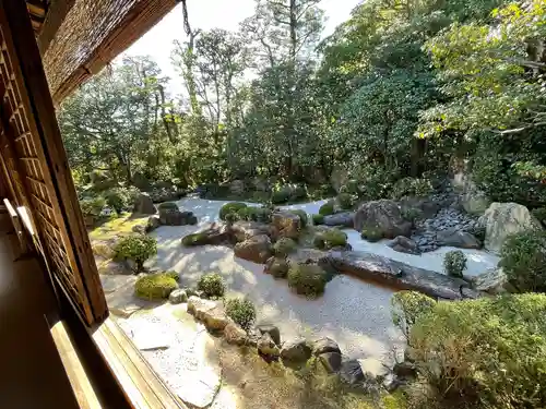 退蔵院の庭園