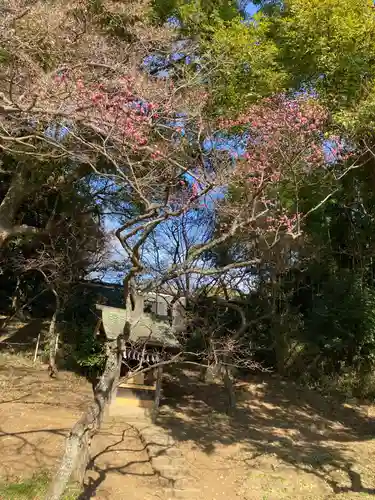 谷保天満宮(東京都)