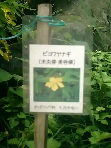 光則寺(神奈川県)