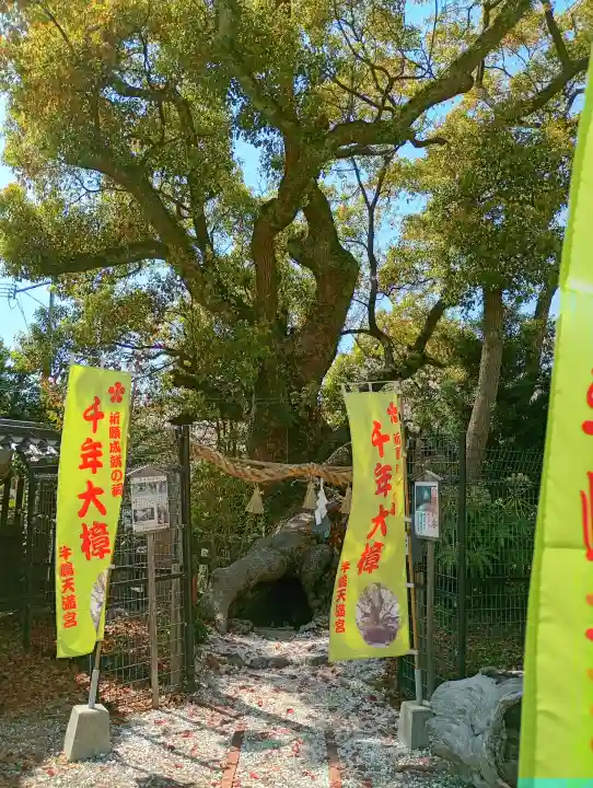 牛嶋天満宮の{uncategorized: "未分類", other: "その他", undefined: "問題あり", building: "その他建物", grave: "お墓", sacred_gate: "鳥居", guardian: "狛犬", statue: "像", buddha: "仏像", history: "歴史", nature: "自然", garden: "庭園", animal: "動物", pagoda: "塔", temizu: "手水舎", mountain_gate: "山門・神門", sanctuary: "本殿・本堂", subordinate: "末社・摂社", art: "芸術", scenery: "景色", jizo: "地蔵", ema: "絵馬", goshuin: "御朱印", omikuji: "おみくじ", items: "授与品その他", amulet: "お守り", goshuincho: "御朱印帳", eats: "食事", festival: "お祭り", votive_dance: "神楽", shichigosan: "七五三参", wedding: "結婚式", experience: "体験その他", initially: "初詣", around: "周辺", anti_infection: "感染症対策"}