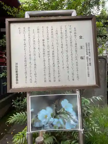 金王八幡宮(東京都)