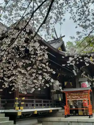 熊野神社の本殿・本堂