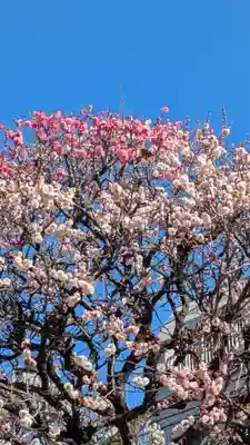 北野神社(東京都)