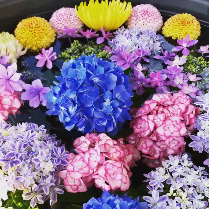 鹿島台神社の手水舎