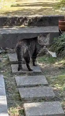 瑞泉寺(京都府)