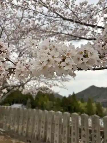 和田寺(兵庫県)