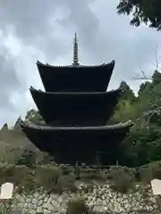 園城寺（三井寺）(滋賀県)