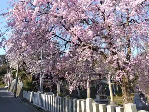 熊野神社の自然