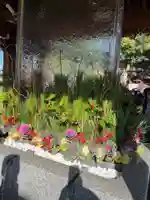 宮地嶽神社(福岡県)