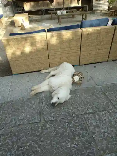 戸越八幡神社(東京都)