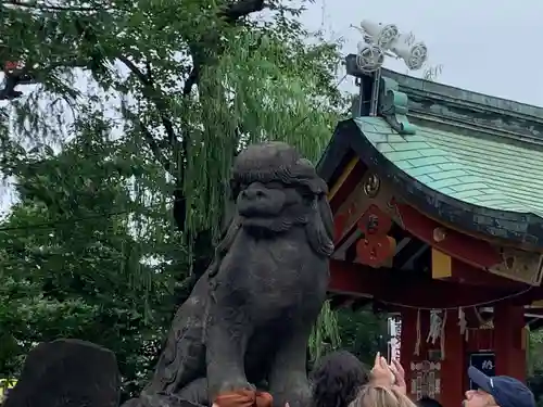 浅草神社の狛犬