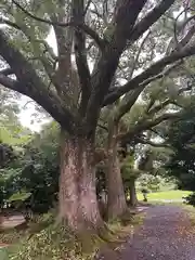 藤越神社(京都府)