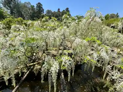 歌泉堂（春日大社神苑萬葉植物園内鎮座）(奈良県)