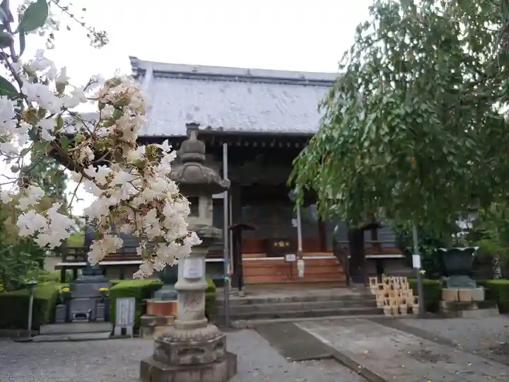 大蔵院(群馬県)