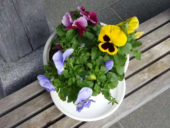 妙蓮寺(神奈川県)