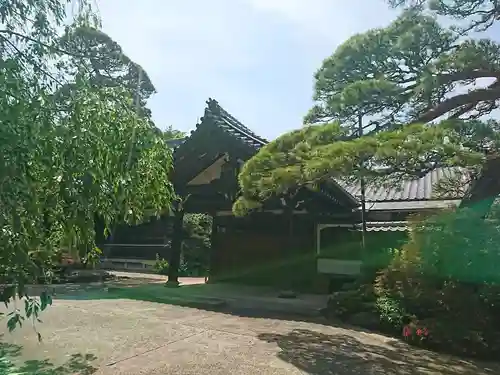 龍光寺の庭園