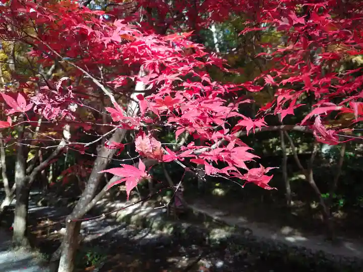 小國神社の自然