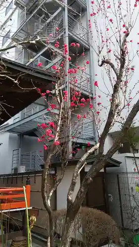 寶藏寺(成田不動尊) の自然