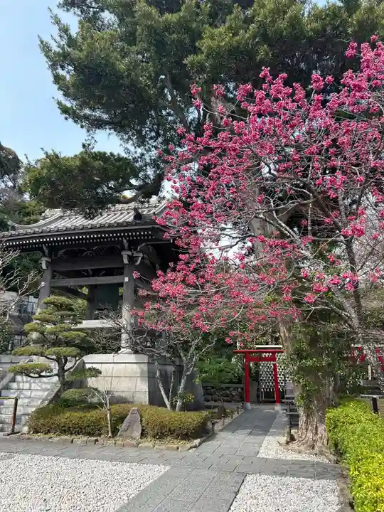 長谷寺(神奈川県)