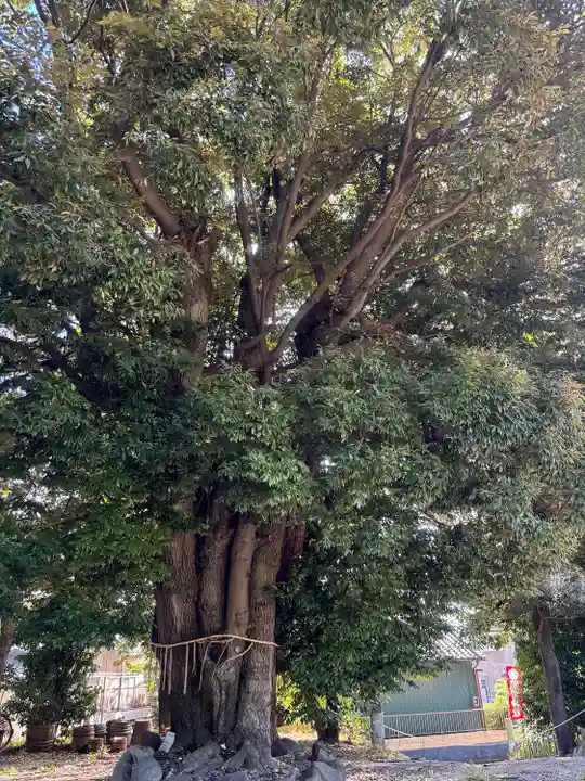 東海市熊野神社(愛知県)