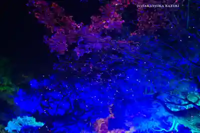 平安神宮(京都府)