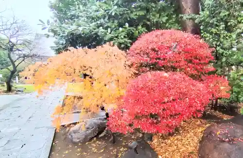 妙正寺の{uncategorized: "未分類", other: "その他", undefined: "問題あり", building: "その他建物", grave: "お墓", sacred_gate: "鳥居", guardian: "狛犬", statue: "像", buddha: "仏像", history: "歴史", nature: "自然", garden: "庭園", animal: "動物", pagoda: "塔", temizu: "手水舎", mountain_gate: "山門・神門", sanctuary: "本殿・本堂", subordinate: "末社・摂社", art: "芸術", scenery: "景色", jizo: "地蔵", ema: "絵馬", goshuin: "御朱印", omikuji: "おみくじ", items: "授与品その他", amulet: "お守り", goshuincho: "御朱印帳", eats: "食事", festival: "お祭り", votive_dance: "神楽", shichigosan: "七五三参", wedding: "結婚式", experience: "体験その他", initially: "初詣", around: "周辺", anti_infection: "感染症対策"}