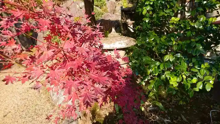 通猛寺(静岡県)