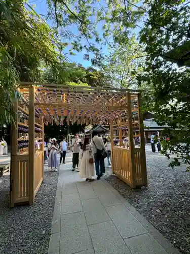 川越氷川神社(埼玉県)
