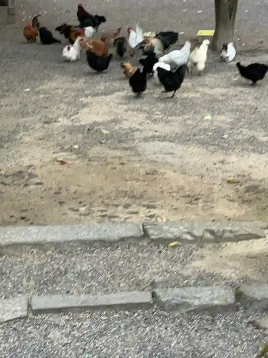 石上神宮(奈良県)