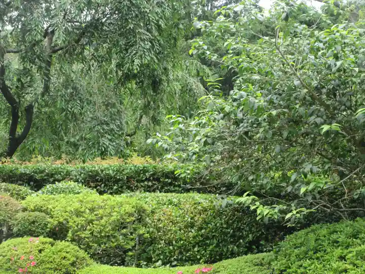 明月院(神奈川県)